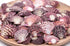 red white scallop shells 1 kg